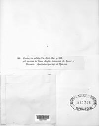 Image Associated With the Occurence